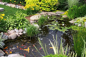decorative-ponds